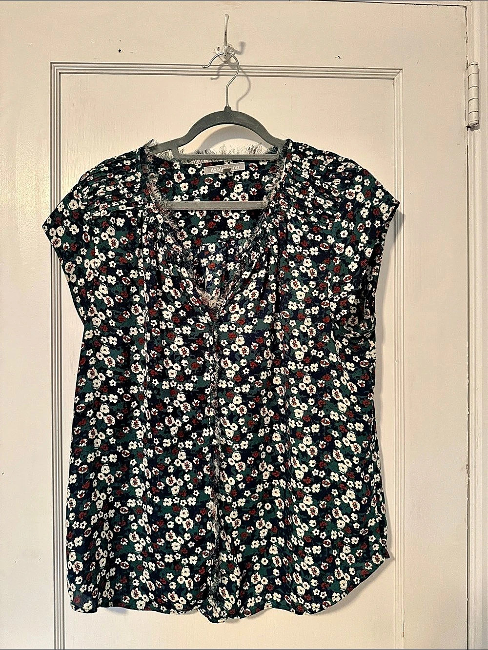 daniel rainn Floral Blouse Blue & Red Size XL